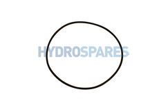 O-Rings & Gaskets O-Rings & Gaskets