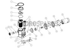 Astral Pool Victoria Pump Spares Astral Pool Victoria Pump Spares