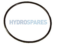 Replacement Lid O ring for waterways filters