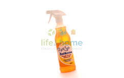 Bathroom Cleaning Problems Bathroom Cleaning Problems
